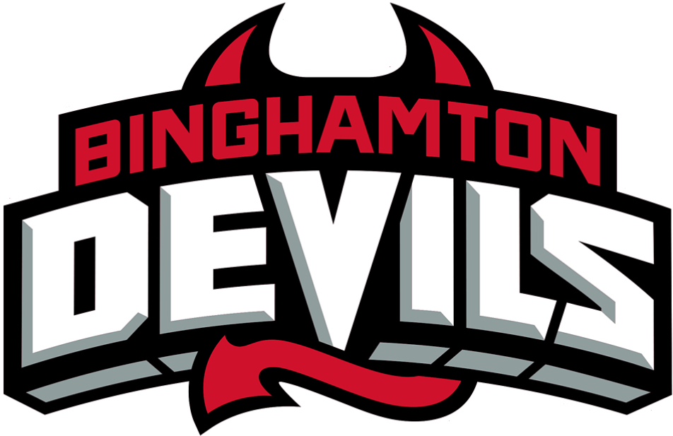 Binghamton Devils 2017-Pres Wordmark Logo iron on transfers for T-shirts